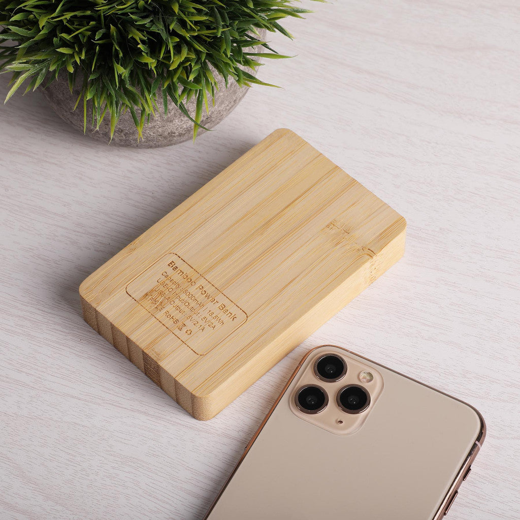 Wooden power bank on a light surface with a plant in the background