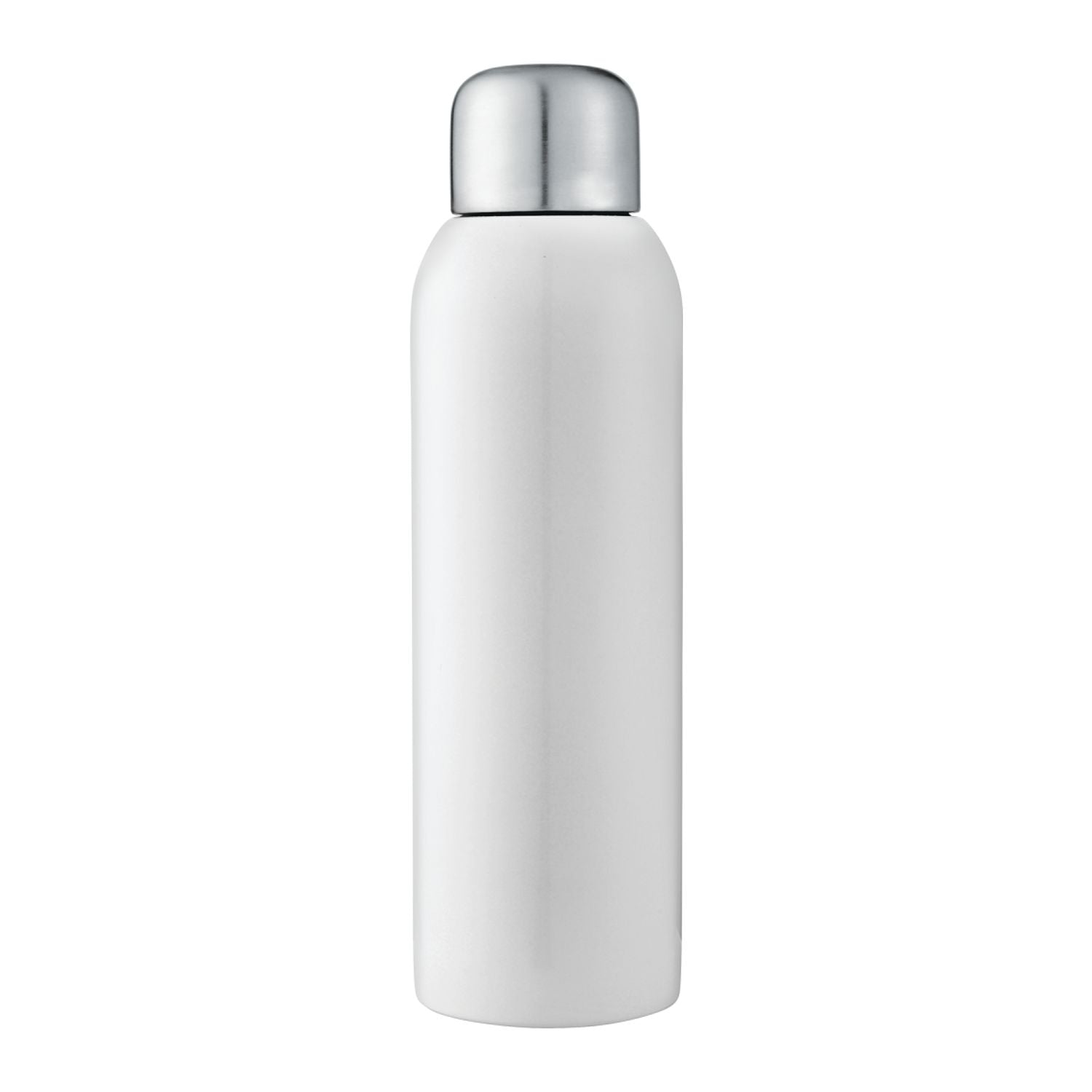 Guzzle 28oz Stainless Sports Bottle