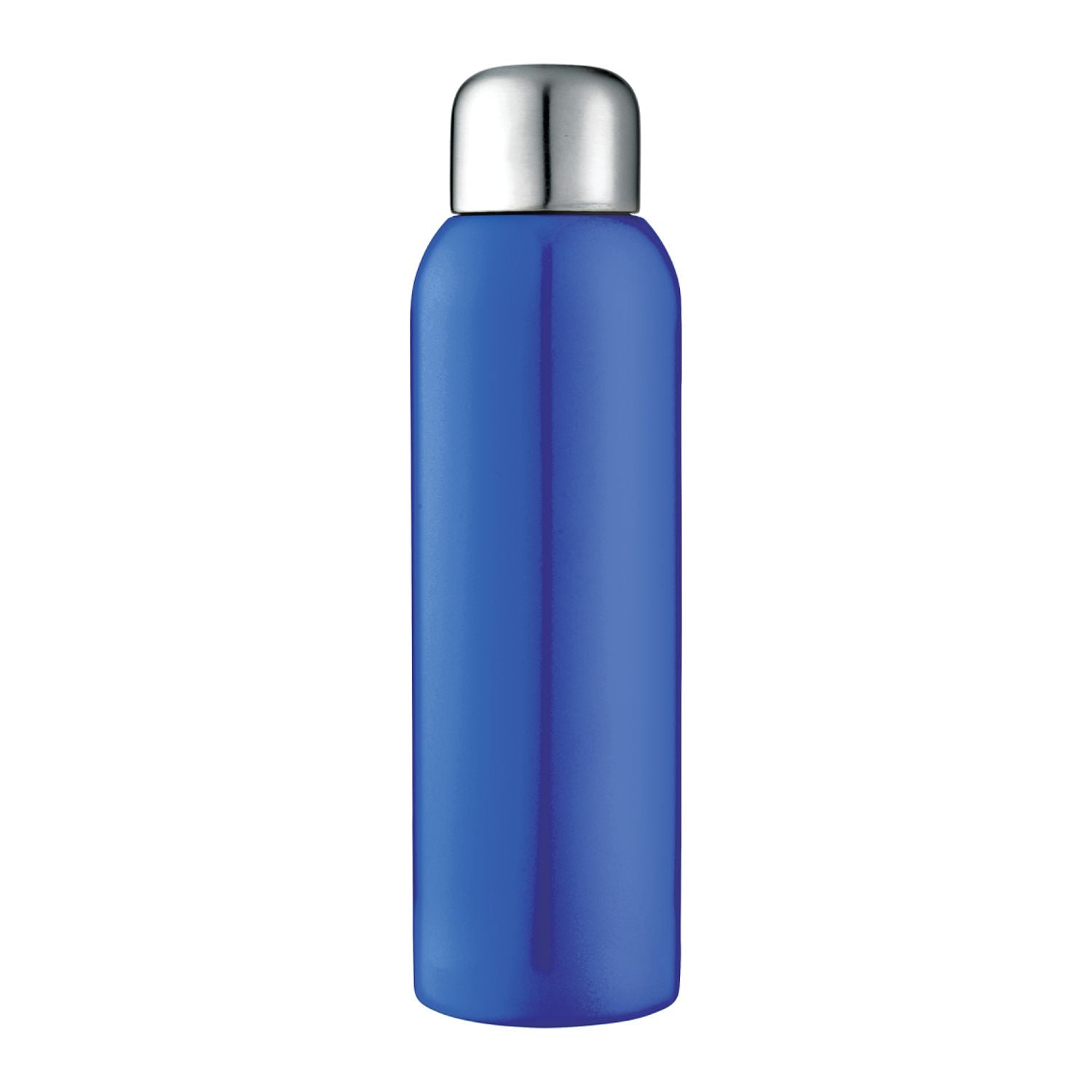 Guzzle 28oz Stainless Sports Bottle