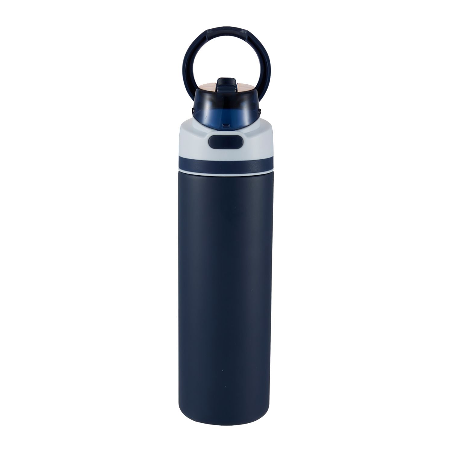 Elvin 28oz Recycled Stainless Flip Straw Bottle