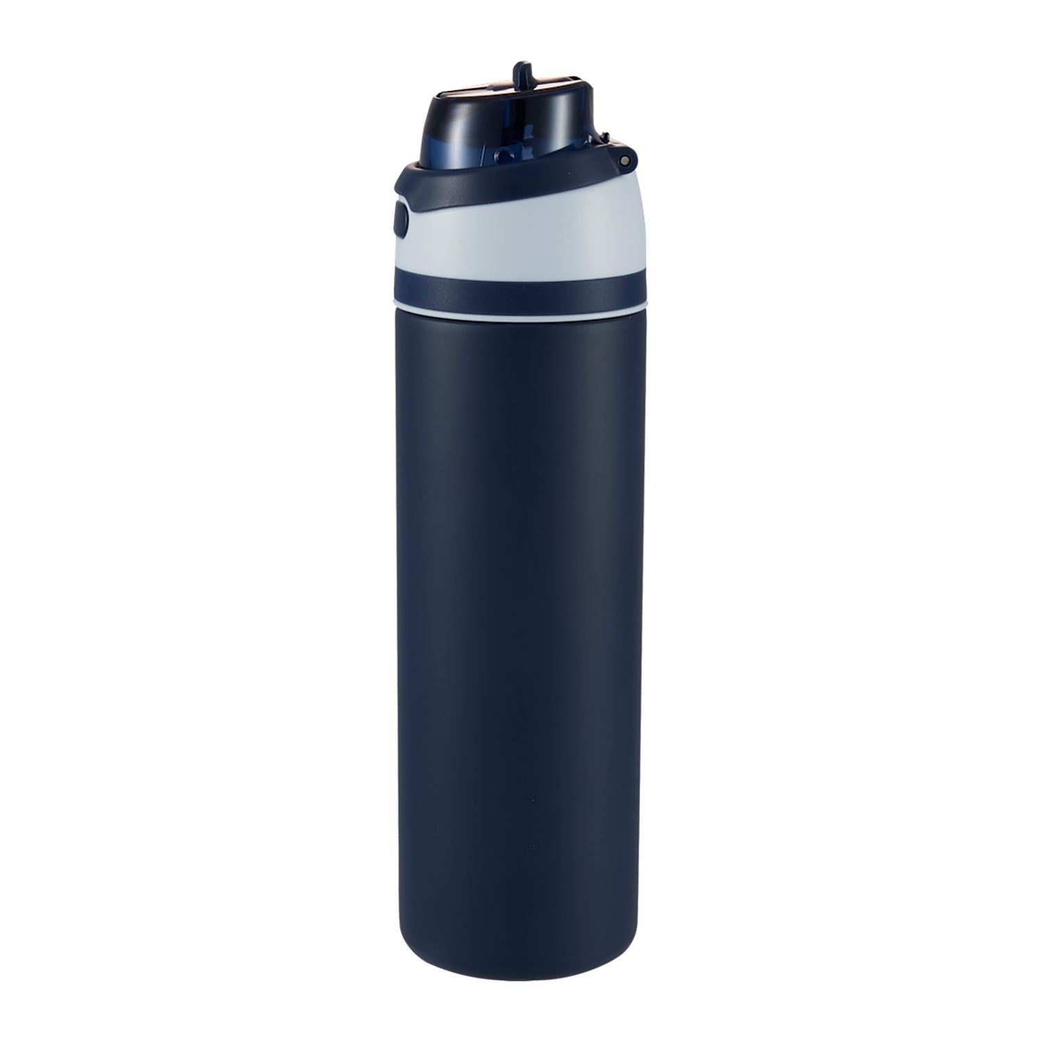 Elvin 28oz Recycled Stainless Flip Straw Bottle