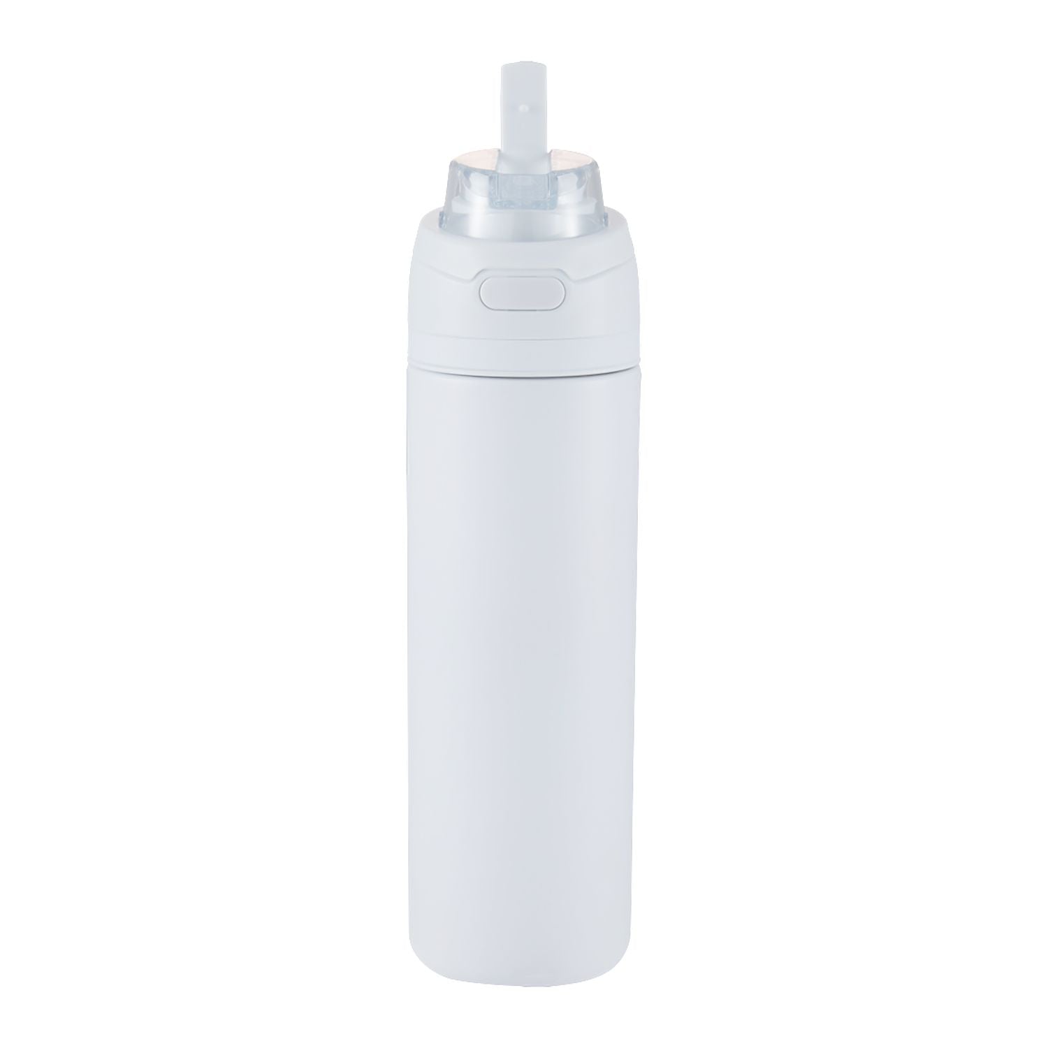 Elvin 28oz Recycled Stainless Flip Straw Bottle