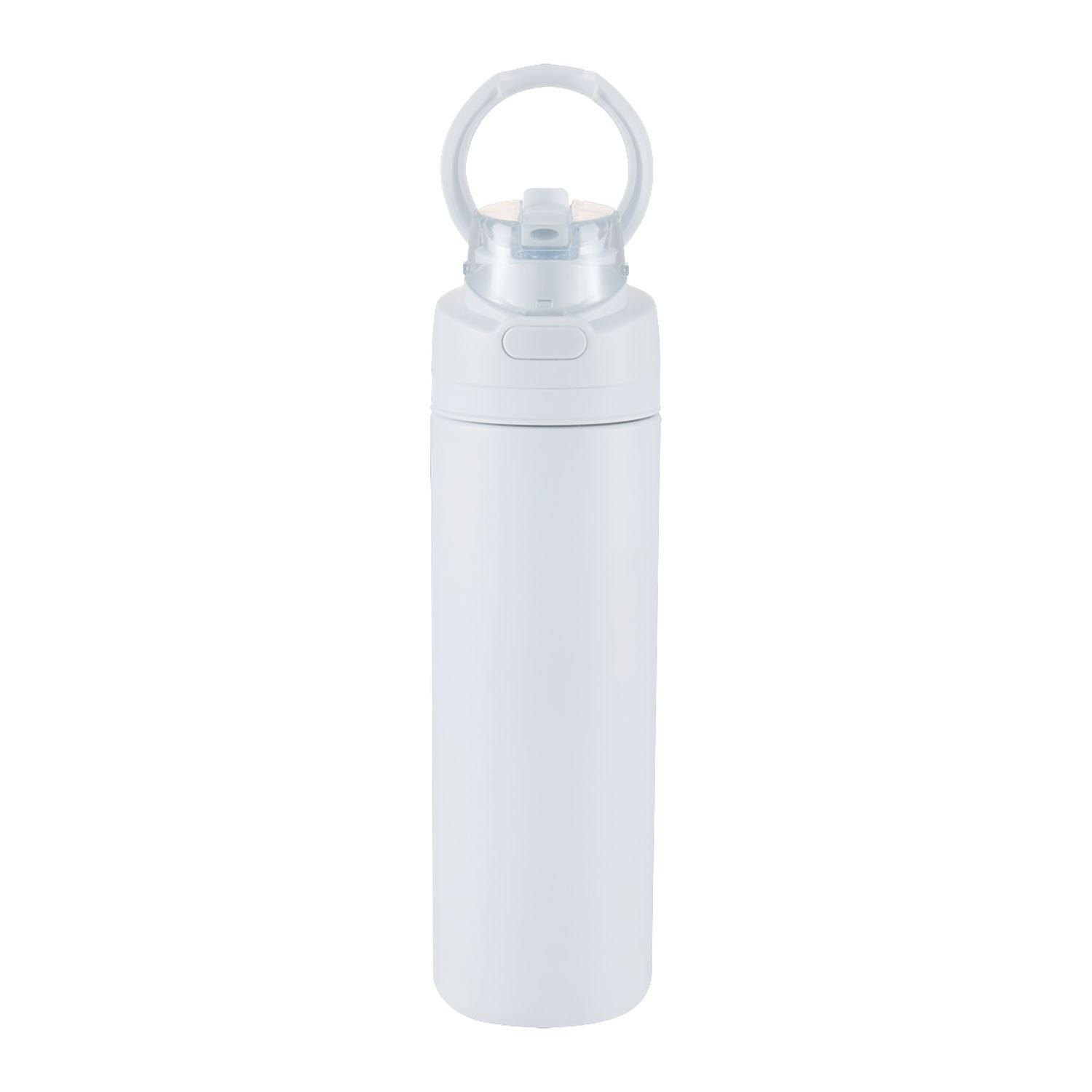 Elvin 28oz Recycled Stainless Flip Straw Bottle