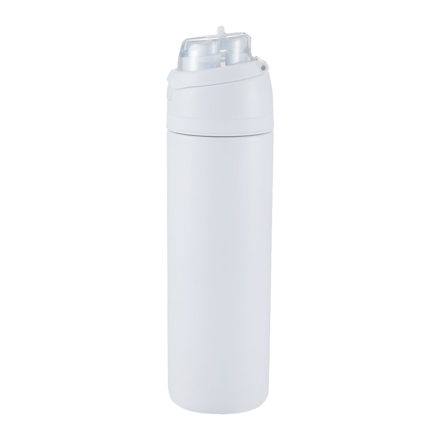 Elvin 28oz Recycled Stainless Flip Straw Bottle