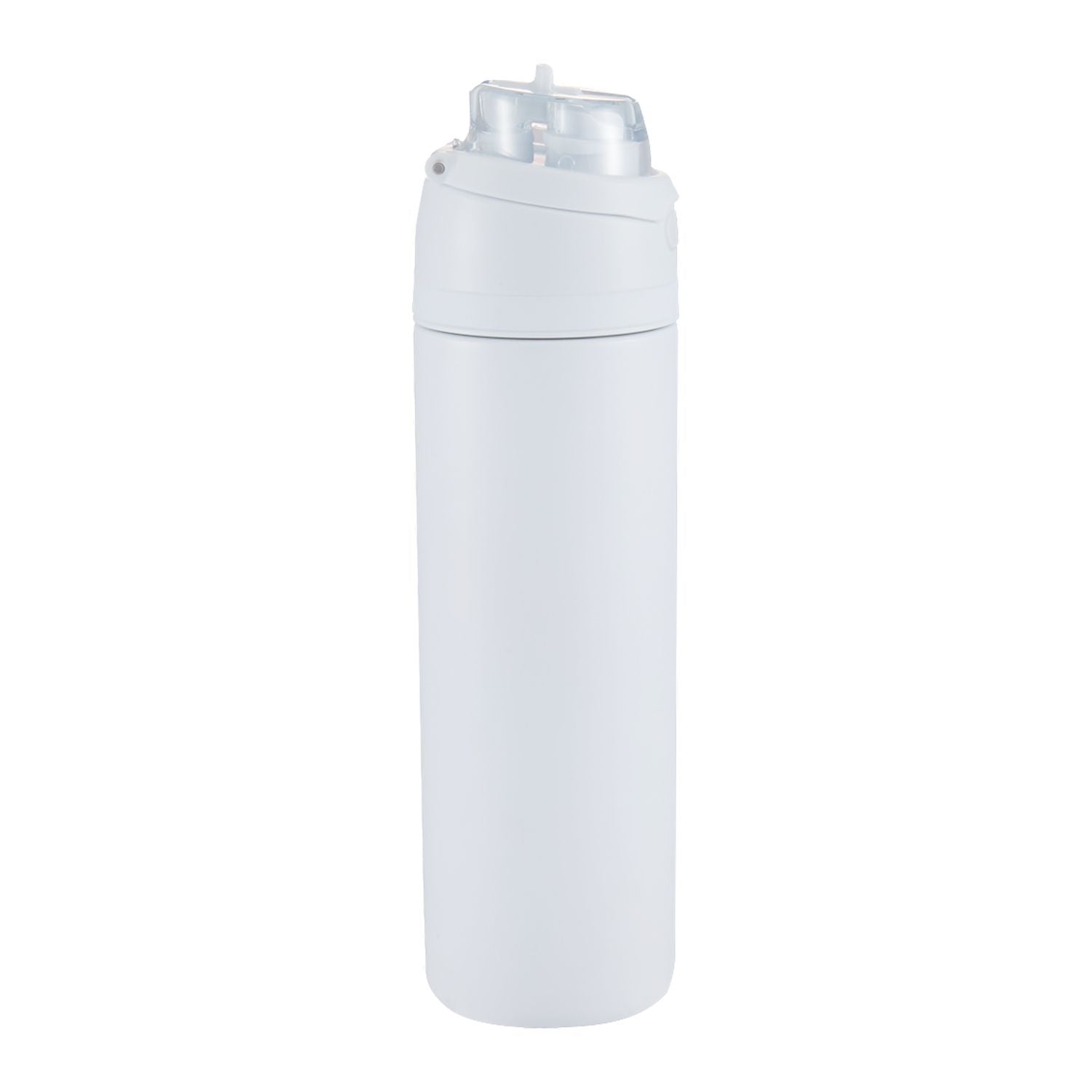 Elvin 28oz Recycled Stainless Flip Straw Bottle