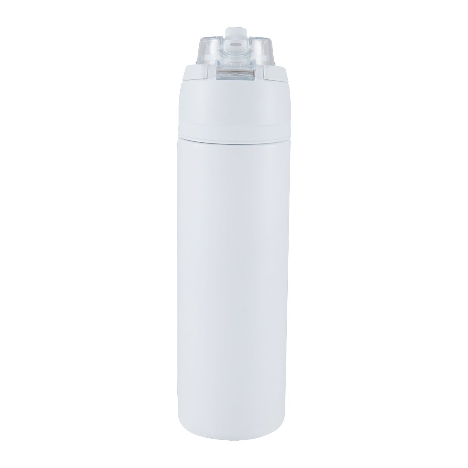 Elvin 28oz Recycled Stainless Flip Straw Bottle