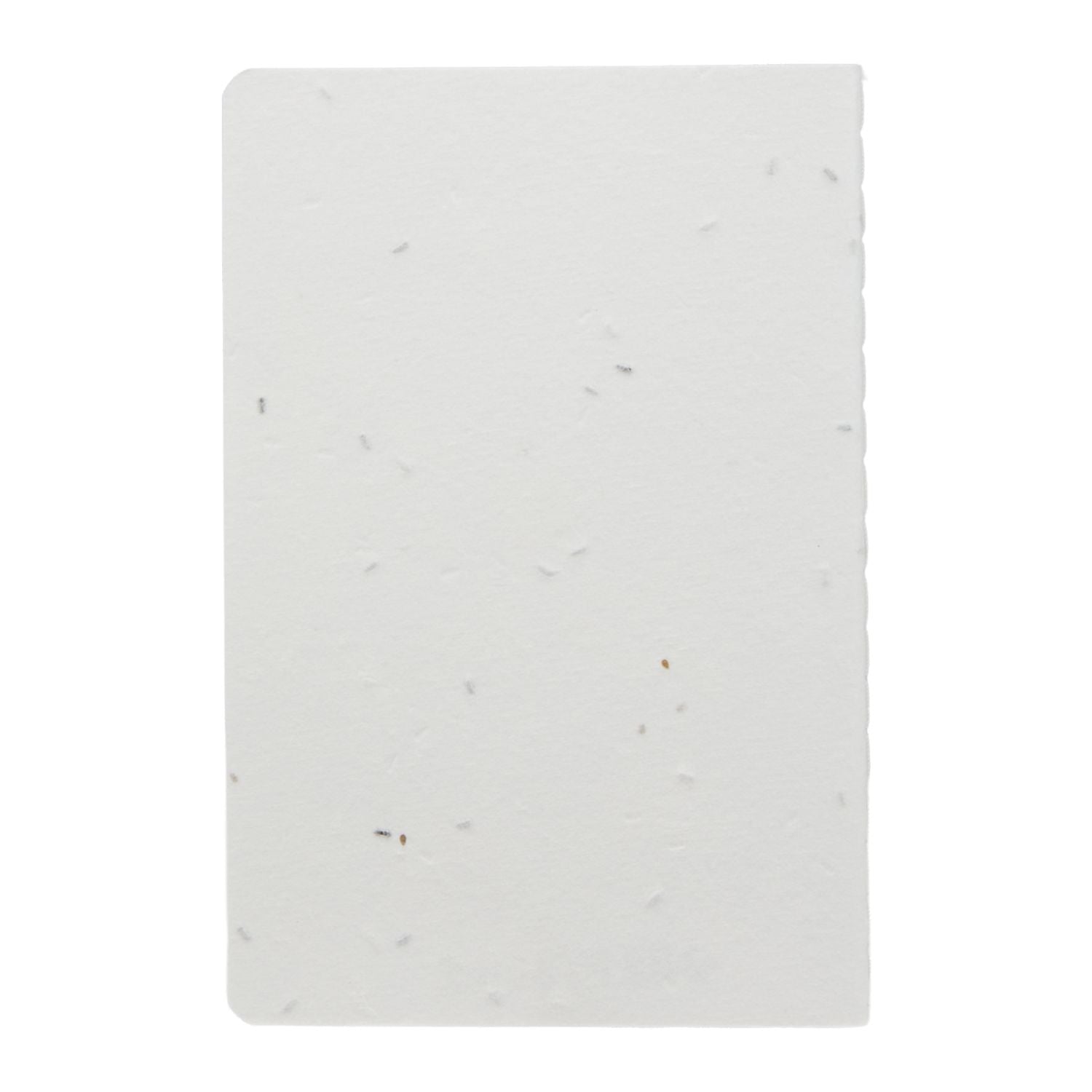 Seed Paper Meeting Notebook Back Full View