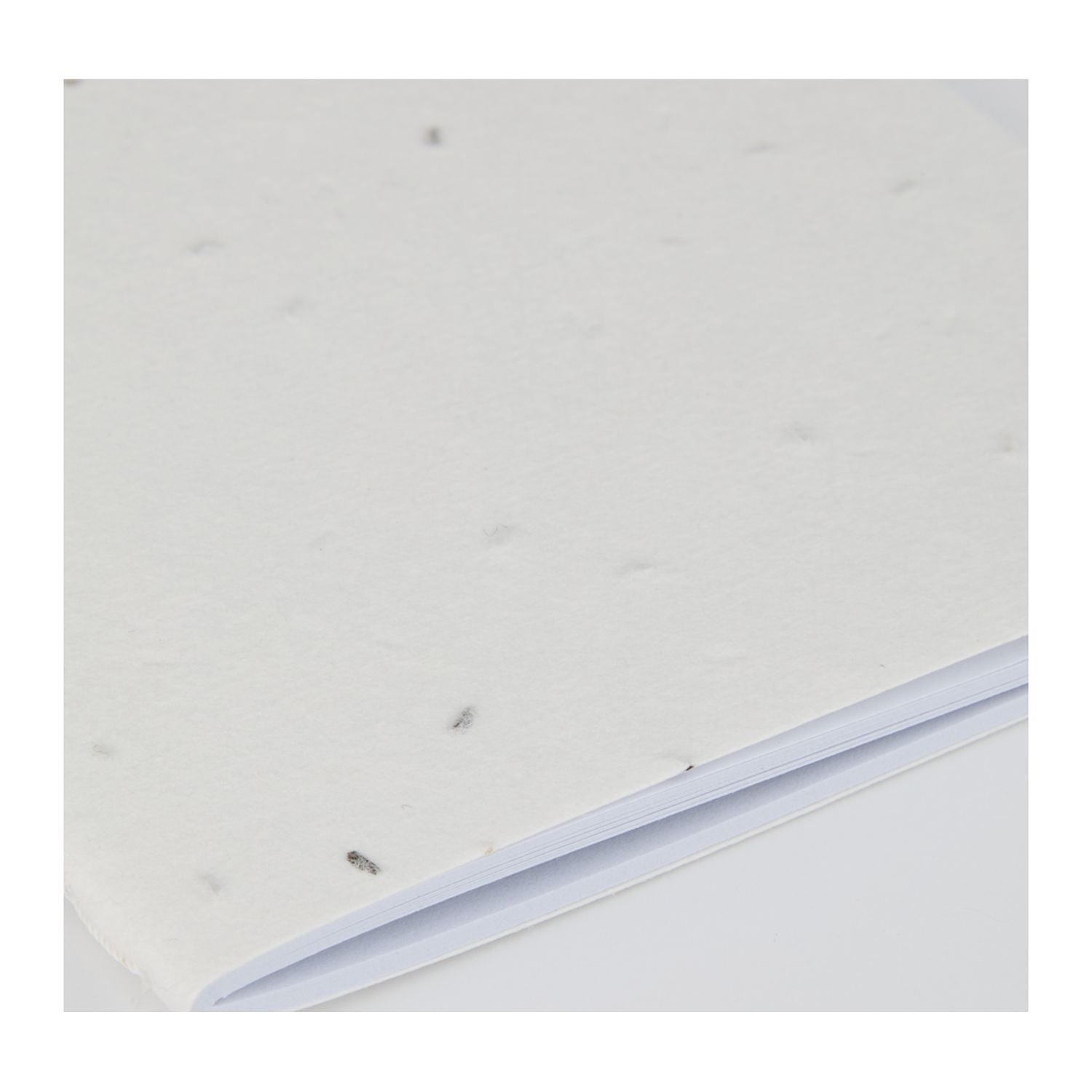 Seed Paper Meeting Notebook Bottom View