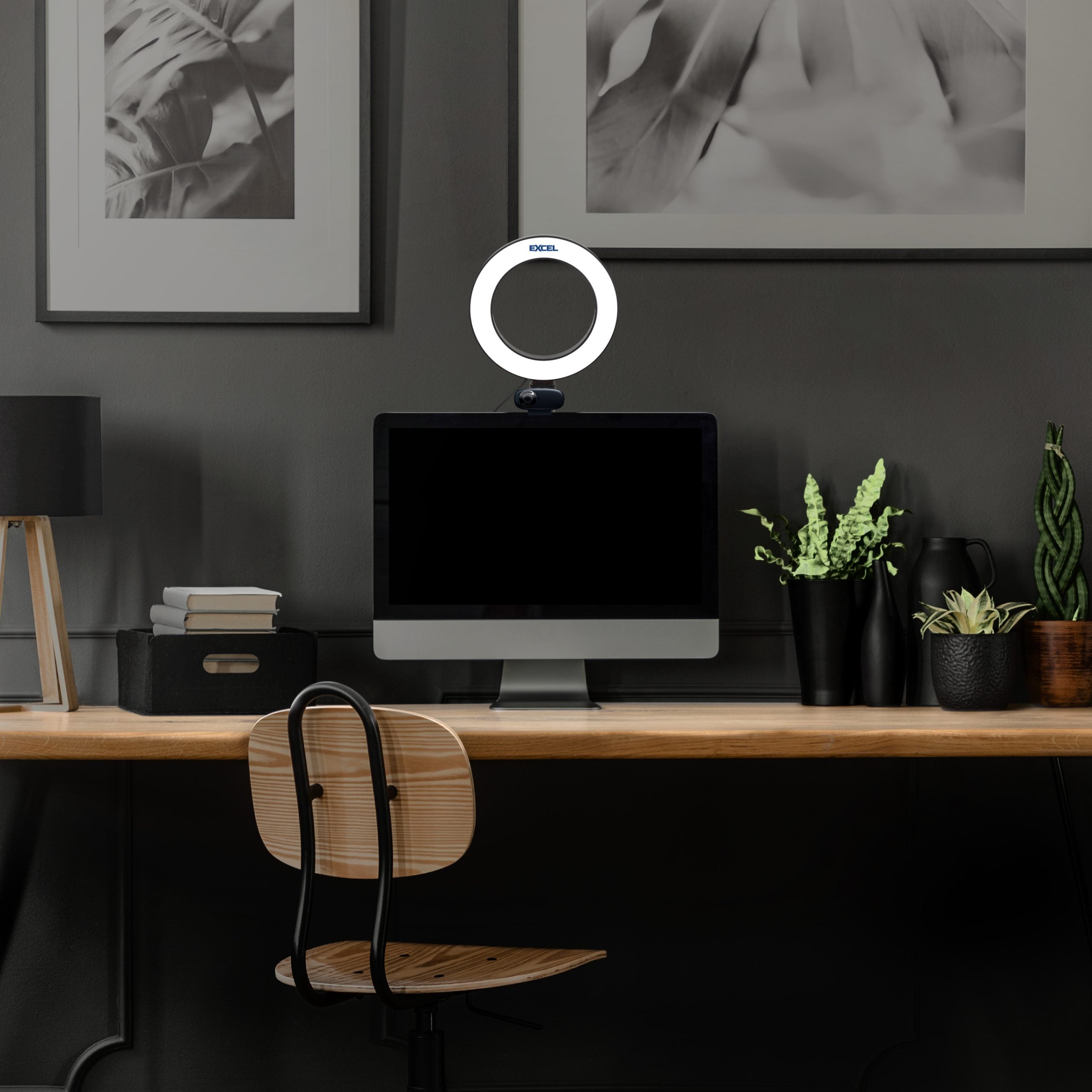 Webcam Ring Light