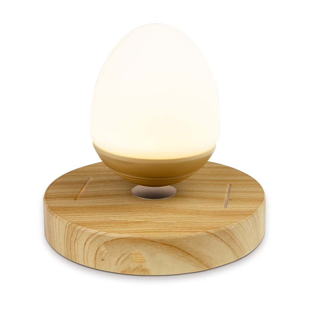 Egg Drop Wireless Speaker