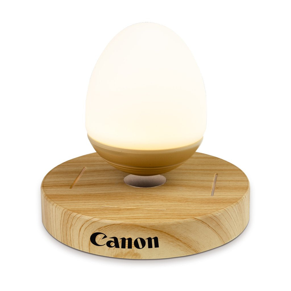 Egg Drop Wireless Speaker