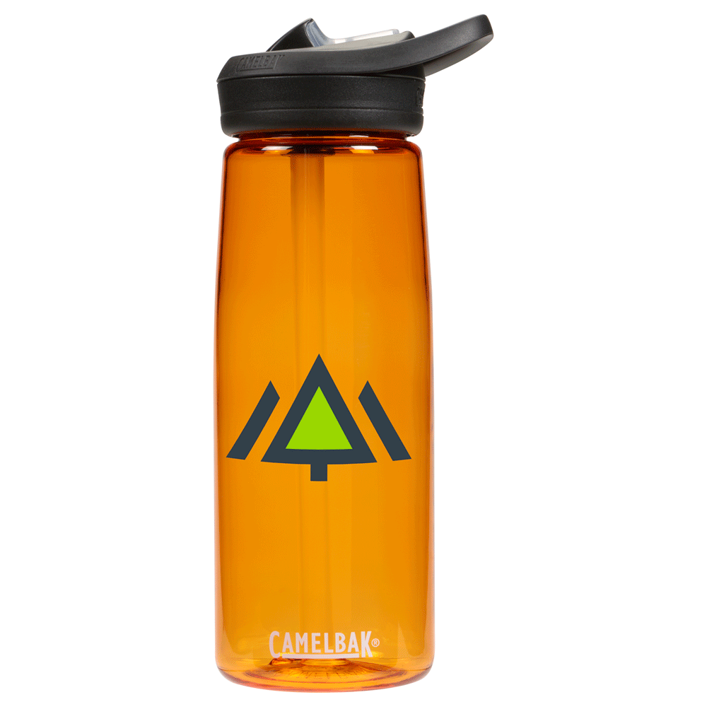 CamelBak Eddy®+ 25oz